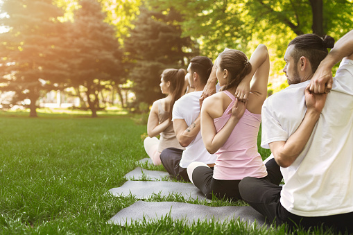 Group yoga practicing, Sporty people training in cow head pose, making back and shoulders stretching in park, back view, copy space